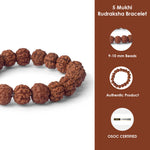 5 Mukhi Rudraksha Bracelet