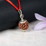 5 Mukhi Rudraksha Pendant with Silver Cap (with Hook)