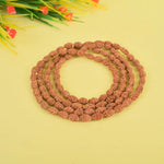 2 Mukhi Semi Pathriya Rudraksha Mala (4–6mm) for Spiritual Balance