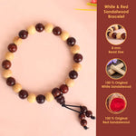Govt. Certified White & Red Sandalwood Bracelet