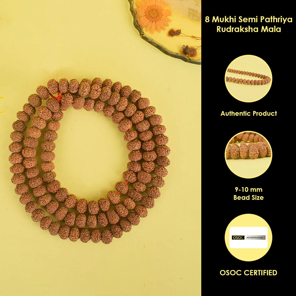 8 Mukhi Semi Pathariya Rudraksha Mala 9-10mm
