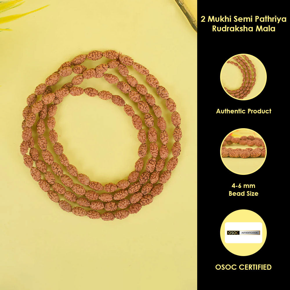 2 Mukhi Semi Pathriya Rudraksha Mala (4–6mm) for Spiritual Balance