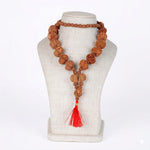Siddha Mala with 5+1 Sawar Rudraksha (Collector Grade, Nepal)