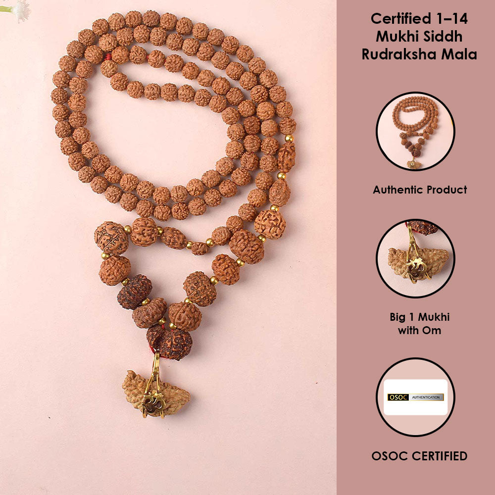 1–14 Mukhi Siddh Rudraksha Mala with Big 1 Mukhi Bead 100% Original & Certified