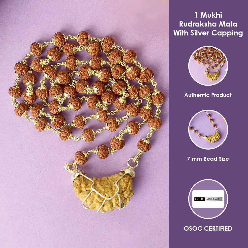 1 Mukhi Rudraksha Mala With Silver Capping Certified & Authentic