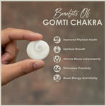 Gomti Chakra 101 Pcs