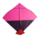 Classic Kite Elegance (Pack of 10)