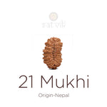 21 Mukhi Rudraksha bead natural Nepali twenty one face Rudraksha. India’s Premium Rudraksha Beads Brand - www.satvikstore.in