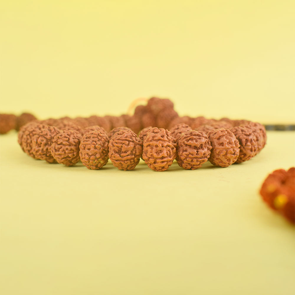 7 Mukhi Semi Pathriya Rudraksha Mala 13-14 mm