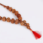 Siddha Mala with 5+1 Sawar Rudraksha (Collector Grade, Nepal)
