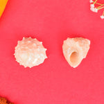 Regular Pearl Shree Laxmi Shankh Pack of 11 (Assorted)