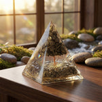 Pyrite Tree Pyramid & Golden Pyrite Tortoise Combo for Wealth & Prosperity