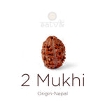 2 Mukhi Rudraksha bead natural Nepali 17.82mm two face Rudraksha. India’s Premium Rudraksha Beads Brand - www.satvikstore.in