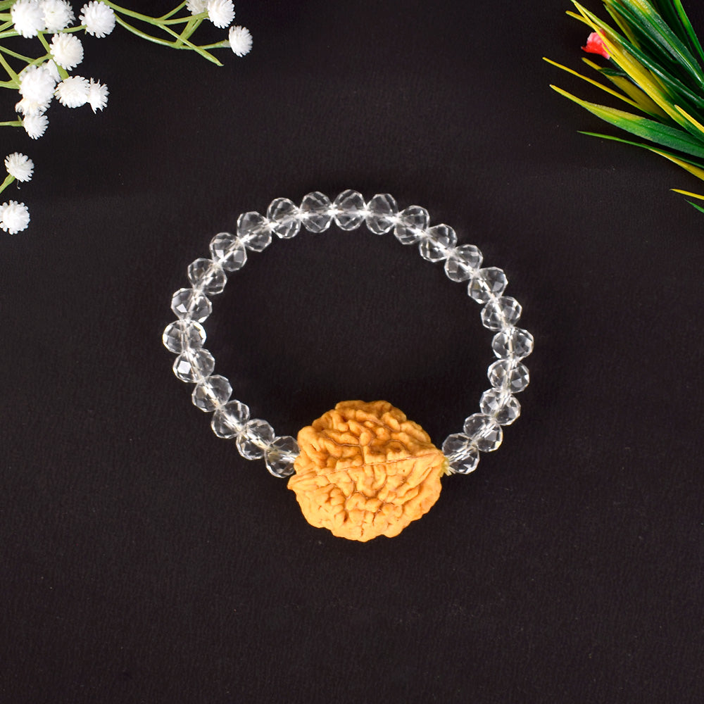 2 Mukhi Rudraksha Bracelet with Sphatik Crystal Beads for Spiritual Healing. India’s Largest Pooja Accessories Brand - www.satvikstore.in