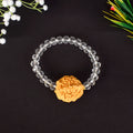 2 Mukhi Rudraksha Bracelet with Sphatik Crystal Beads for Spiritual Healing. India’s Largest Pooja Accessories Brand - www.satvikstore.in