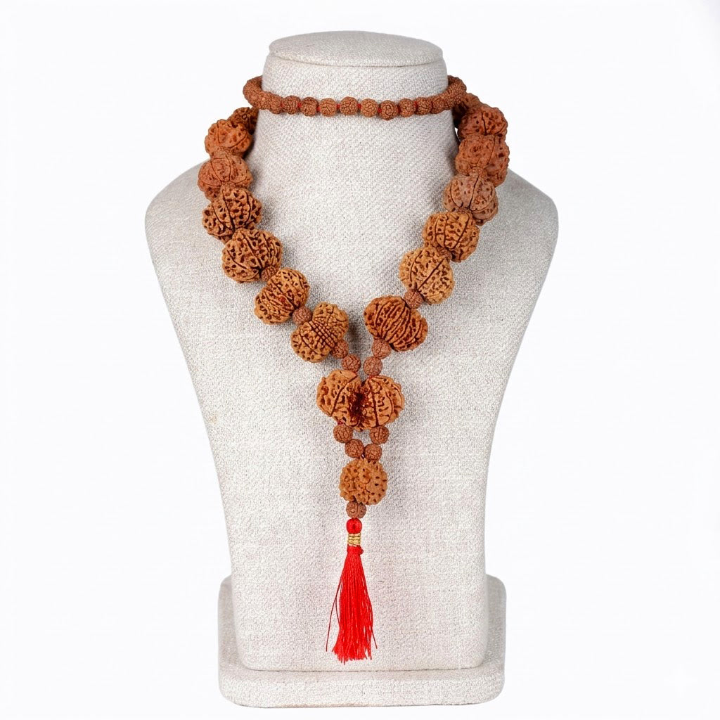 Siddha Mala with 1 Mukhi Underdeveloped (Collector Grade, Nepal- Thread)