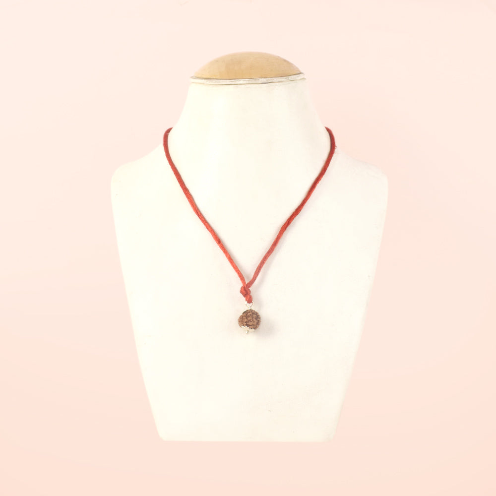 Certified 13 Mukhi Rudraksha Pendant