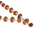 Siddha Mala with 1 Mukhi Sawar (Silver Chain, Nepal Collector)