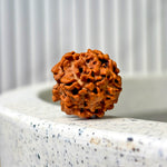 Nirakar Rudraksha Bead (Regular)