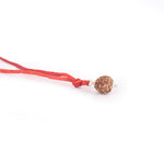 Certified 13 Mukhi Rudraksha Pendant