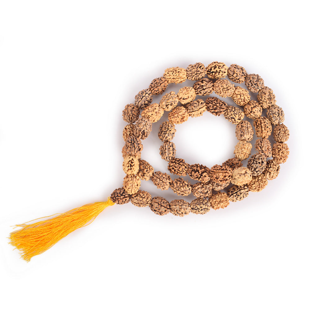 3 Mukhi Kantha Rudraksha Mala