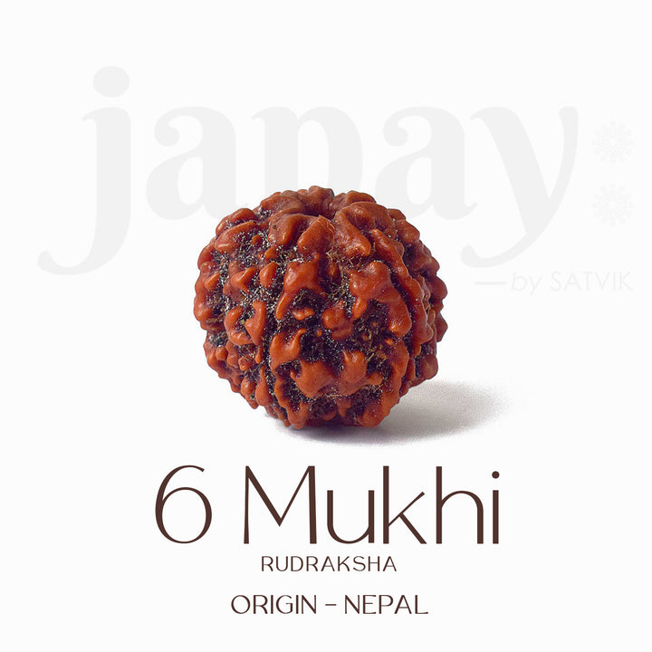 Certified 6 Mukhi brown Rudraksha bead placed on red fabric, symbolizing courage, focus, and inner discipline for spiritual and professional growth. India’s Largest Pooja Accessories Brand - www.satvikstore.in