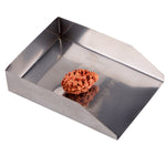 2 Mukhi Rudraksha (21.32mm)