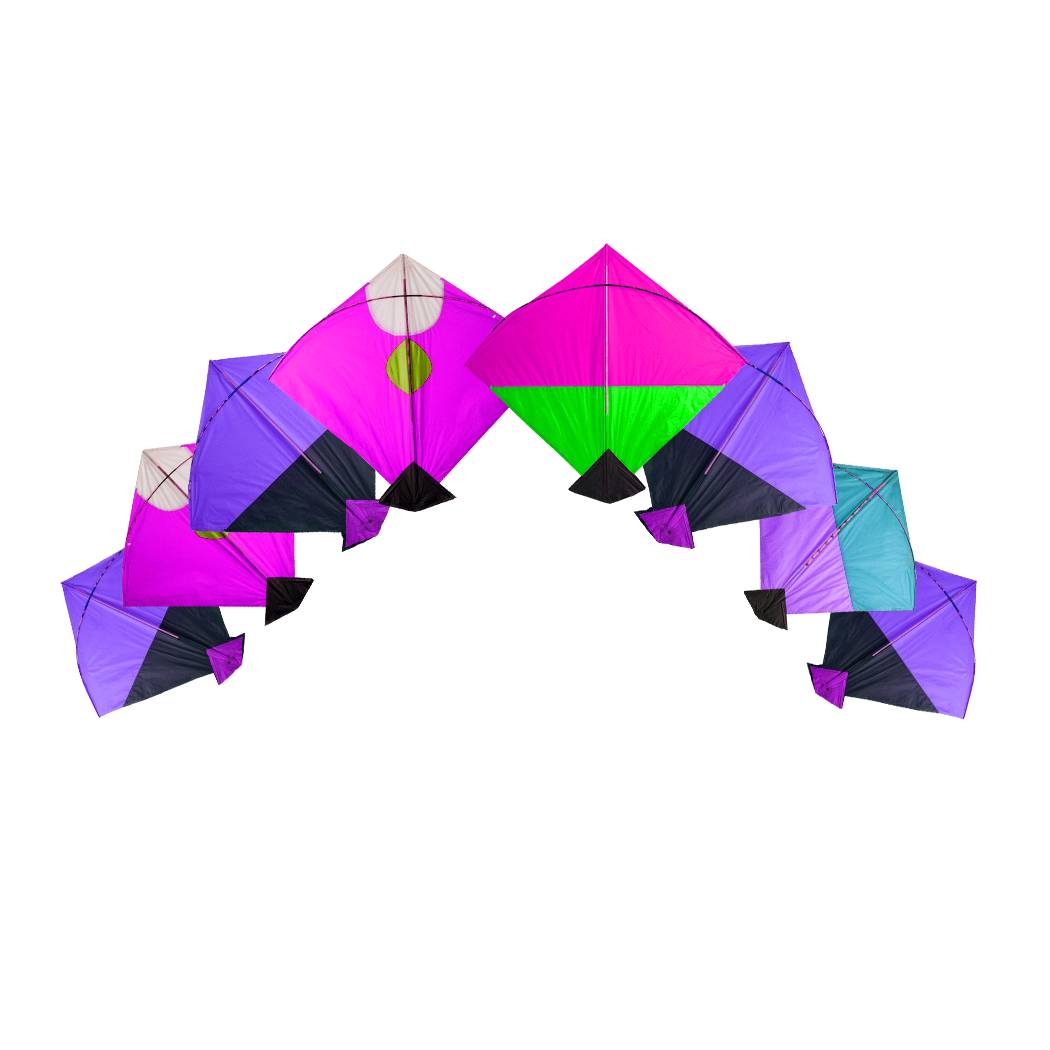Classic Kite Elegance (Pack of 10)