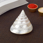 Moti Shankh (Pearl Trochus) – Purity, Peace & Pooja Blessings