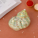 9cm Natural Green Turbo Shell (Turbo marmoratus) – Peace & Prosperity