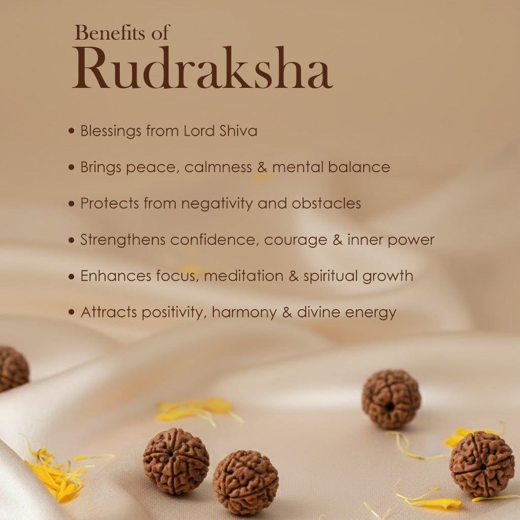Rudraksha Bracelet – Natural Healing Wristwear
