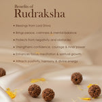 Rudraksha Bracelet – Natural Healing Wristwear