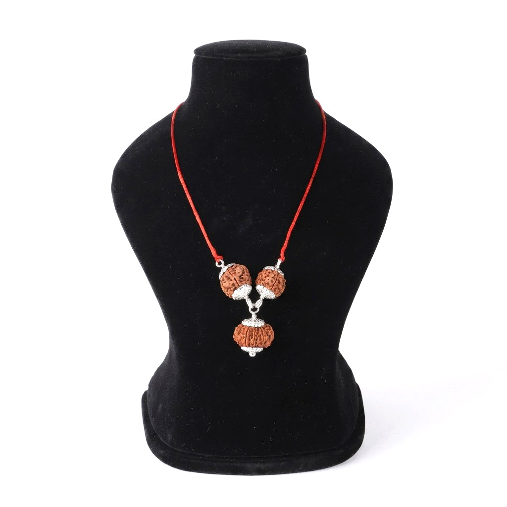 Business Kavachh bracelet with 7 8 12 Mukhi Rudraksha for growth success protection Nepal beads. India’s Premium Rudraksha Jap Mala Brand - www.satvikstore.in