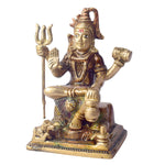 6 Inch Premium Brass Shiv Idol