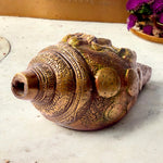 Brass Shankh with Divine Carvings of Radha Krishna Shankh