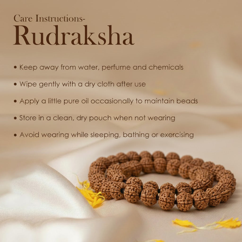 18mm 5 Mukhi Kanthi Pathriya Rudraksha Mala
