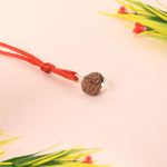Certified 11 Mukhi Rudraksha Pendant