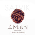 Certified 4 Mukhi natural brown Rudraksha bead placed on red cloth, representing wisdom, speech clarity, and blessings of Lord Brahma. India’s Largest Pooja Accessories Brand - www.satvikstore.in