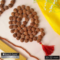 Certified 5 Mukhi Rudraksha Kantha Mala with 54 Beads Velvet Thread.India’s Premium Jap Mala Store - www.satvikstore.in