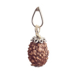 Certified 3 Mukhi Rudraksha Pendant