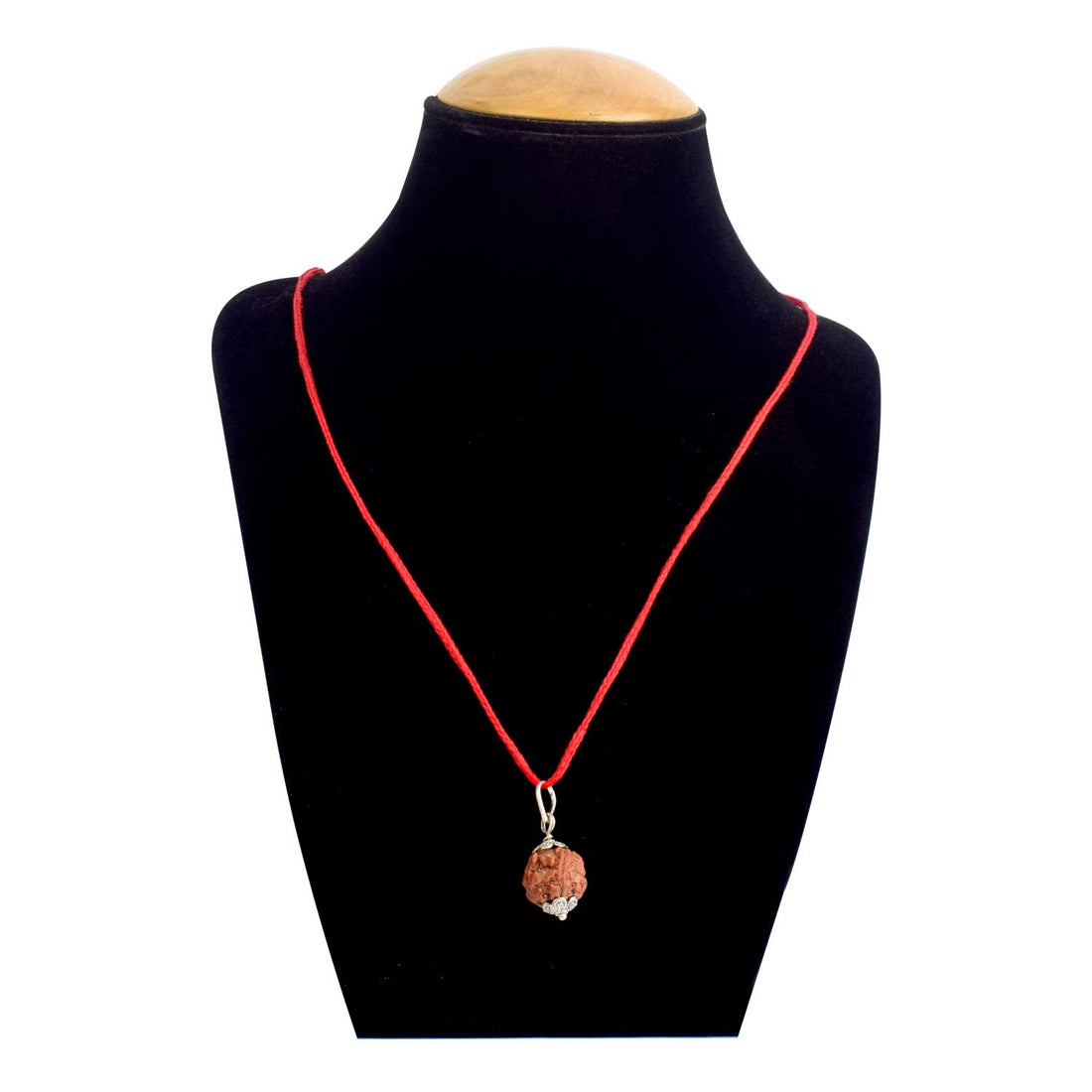 Certified 5 Mukhi Rudraksha Pendant