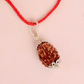 Certified 3 Mukhi Rudraksha Pendant with metal cap for strength and clarity. India’s Premium Rudraksha Jap Mala Store- www.satvikstore.in