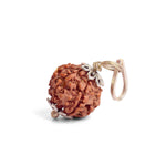 Certified 6 Mukhi Rudraksha Pendant