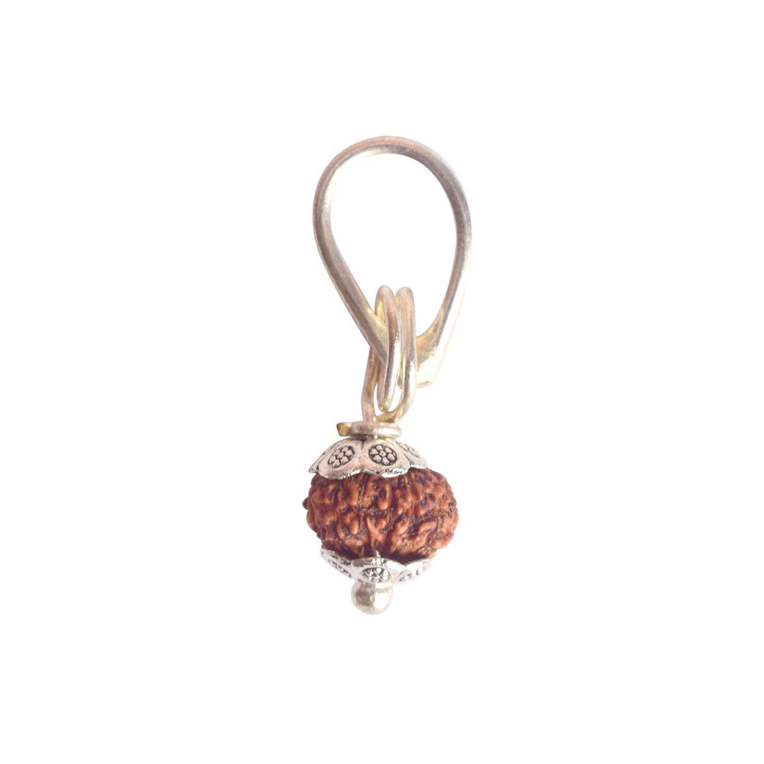 Certified 12 Mukhi Rudraksha Pendant