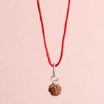 Certified 10 Mukhi Rudraksha Pendant
