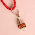 Certified 12 Mukhi Rudraksha Pendant with metal capping for confidence and energy. India’s Premium Rudraksha Jap Mala Store- www.satvikstore.in
