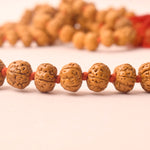 Semi Pathriya Rudraksha Mala 10-11mm