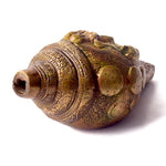 Brass Shankh with Divine Carvings of Radha Krishna Shankh