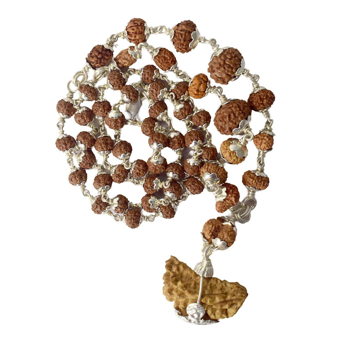 Certified 1 to 14 Mukhi Siddh Rudraksha Mala with Silver Capping (Indonesia)