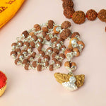 Certified 1 to 14 Mukhi Siddh Rudraksha Mala with Silver Capping (Indonesia)